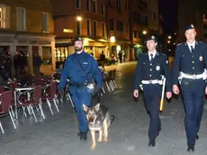 Interpress/Mazzega Venezia, 20.04.2016.- Polizia Locale, Controlli in Campo Santa Margherita