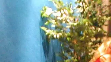 Pegolotte: un interno del locale con le ragazze e i clienti. 27/07/2000 Light IMage Fornasier