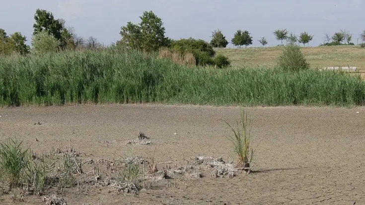 Foto Agenzia Candussi/ Artico/ Mestre/ Parco San Giuliano/ Laghetto prosciugato al parco San Giuliano