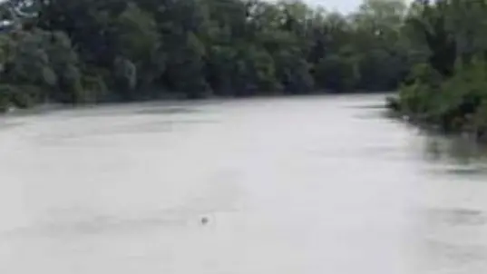 MORSEGO FGAVAGNIN SAN DONA SI GETTA NEL PIAVE IN FOTO LE RICERCHE DEL GIOVANE IL PRESUNTO POSTO DA DOVE SI E' LANCIATO