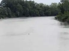 MORSEGO FGAVAGNIN SAN DONA SI GETTA NEL PIAVE IN FOTO LE RICERCHE DEL GIOVANE IL PRESUNTO POSTO DA DOVE SI E' LANCIATO