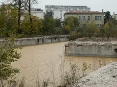 Agenzia Candussi, giornalista Chiarin. Reportage sulla situazione dell'aerea dell'ex ospedale Umberto I, Mestre.