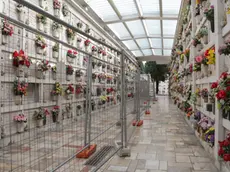 Foto Agenzia Candussi/ Chiarin/ Mestre, Cimitero/ Degrado al cimitero di Mestre