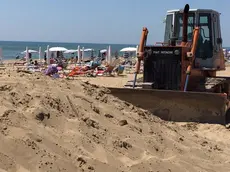 Una ruspa in spiaggia al lavoro per il ripascimento