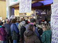 Apertura della nuova pescheria di "Ittica mercato" a Favaro Veneto