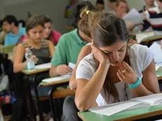 Una studentessa durante la prova dell'esame di maturità al liceo ginnasio Andrea Doria, 19 giugno 2013 a Genova..ANSA/LUCA ZENNARO