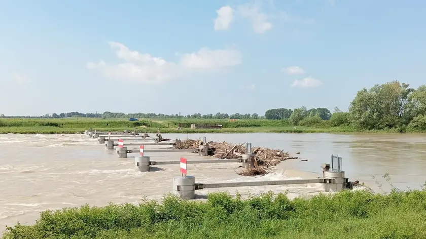 L’Adige ingrossato tra Cavanella e la foce