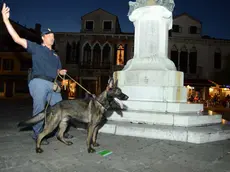 Con i cani antidroga in campo Santa Margherita (foto d'archivio)