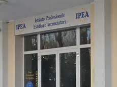 DEPOLO FGAVAGNIN PORTOGRUARO ISTITUTO IPEA PER PARRUCCHIERI ED ESTETISTI DEPOLO FGAVAGNIN PORTOGRUARO ISTITUTO IPEA PER PARRUCCHIERI ED ESTETISTI