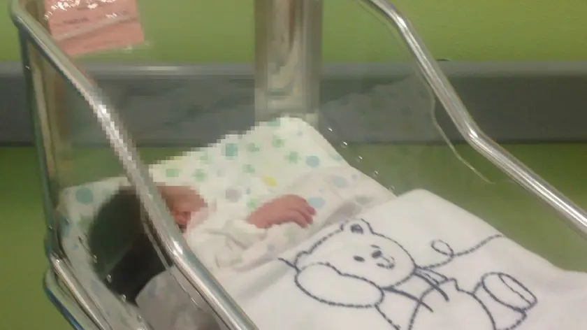 Martina nel suo primo giorno di vita (foto Pòrcile)