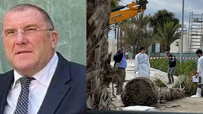 Gianluca Fasolin e la palma caduta nello stabilimento Stella Maris di Sottomarina