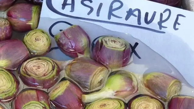 I carciofi violetti di Sant'Erasmo