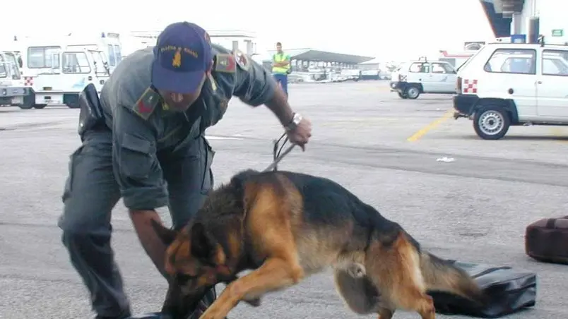 Tessera 16/05/01 Aeroporto Marco Polo conferenza stampa G di F. sequestro droga controlli gruppo cinofili (C) Bertolin M. richiesto da Mion