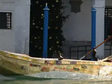 Interpress/Matteo Tagliapietra. 21.11.2017.- Gondola costruita con cassette della frutta da Angelo Boscolo