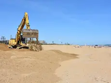 CARRAI - DINO TOMMASELLA - JESOLO - LAVORI DI RIPASCIMENTO - MEZZI IN AZIONE E GENTE AL MARE