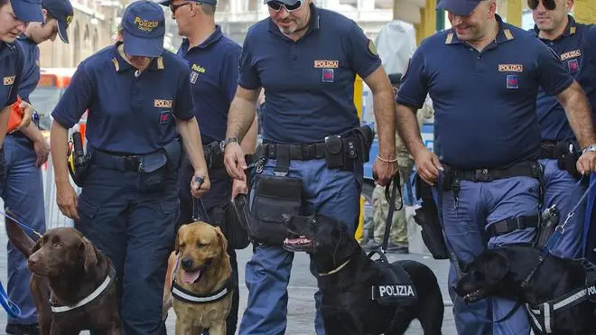 Le unita' cinofili ed artificieri della Polizia durante le operazioni di bonifica dell'area palco della parata militare del 2 giugno in via dei Fori Imperiali a Roma, questo pomeriggio 01 giugno 2011. ANSA/CLAUDIO PERI