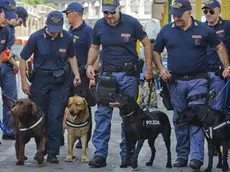 Le unita' cinofili ed artificieri della Polizia durante le operazioni di bonifica dell'area palco della parata militare del 2 giugno in via dei Fori Imperiali a Roma, questo pomeriggio 01 giugno 2011. ANSA/CLAUDIO PERI