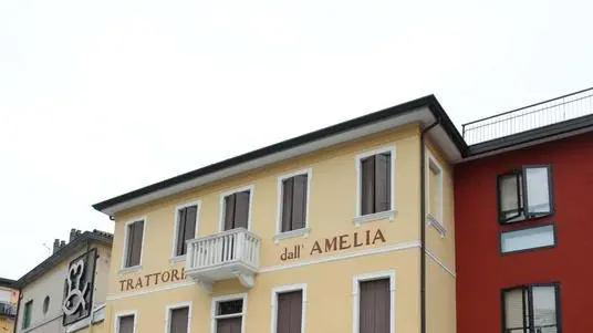PELLICANI MESTRE: RISTORANTE ALL'AMELIA..06/05/09 LIGHT IMAGE