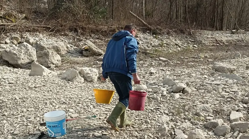 Questo era il torrente Runal, secondo affluente del lago di Santa Croce, uno tra i più importanti bacini di approvvigionamento idrico del Veneto: solo rocce e resti di pesci morti