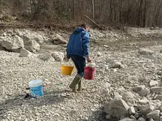 Questo era il torrente Runal, secondo affluente del lago di Santa Croce, uno tra i più importanti bacini di approvvigionamento idrico del Veneto: solo rocce e resti di pesci morti
