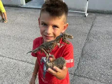 Davide Favaron con uno dei suoi amati dinosauri