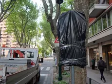 Cartello delle Ztl e corsie preferenziali oscurati in via Cappuccina a Mestre