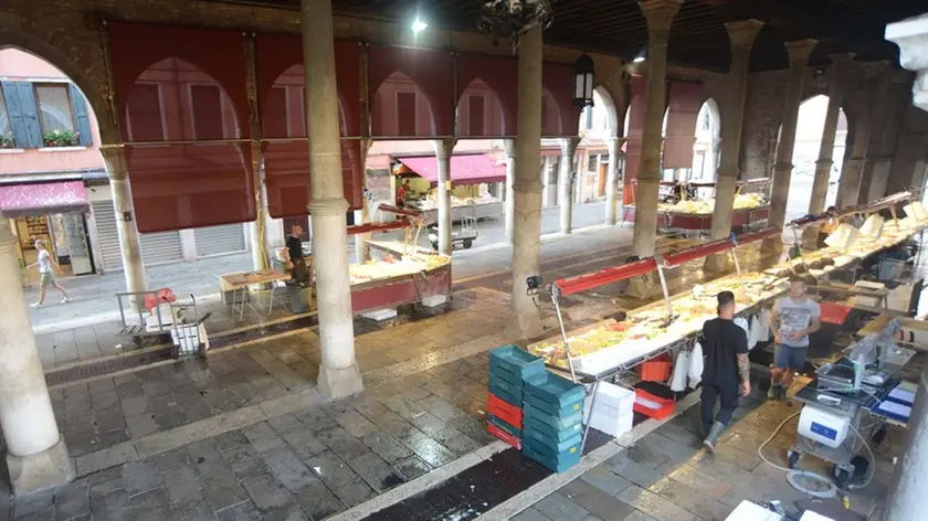 Interpress/M.Tagliapietra Venezia 01.08.2018.- Mercato del pesce di Rialto, Pescheria.