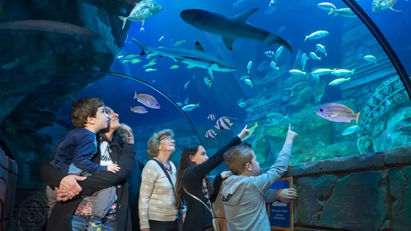 La galleria dell'Aquarium di Jesolo