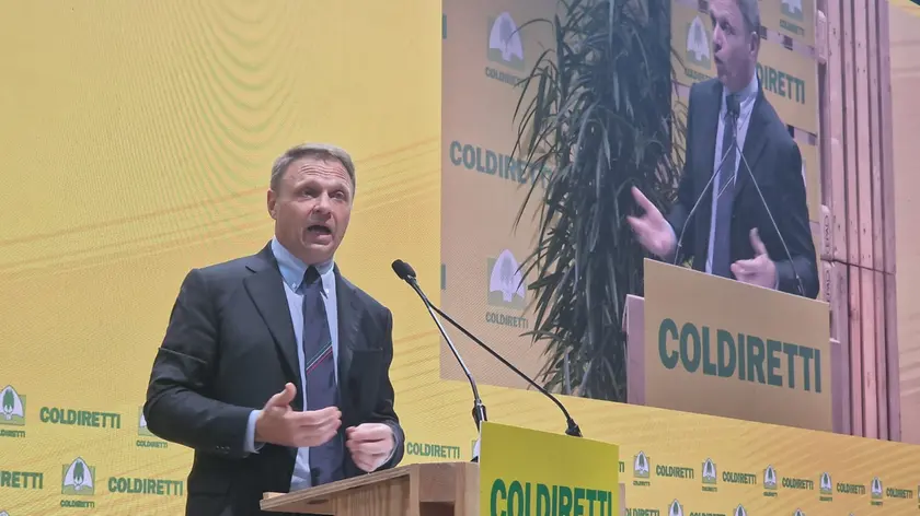 Il ministro Lollobrigida (foto Tagliapietra/Interpress)