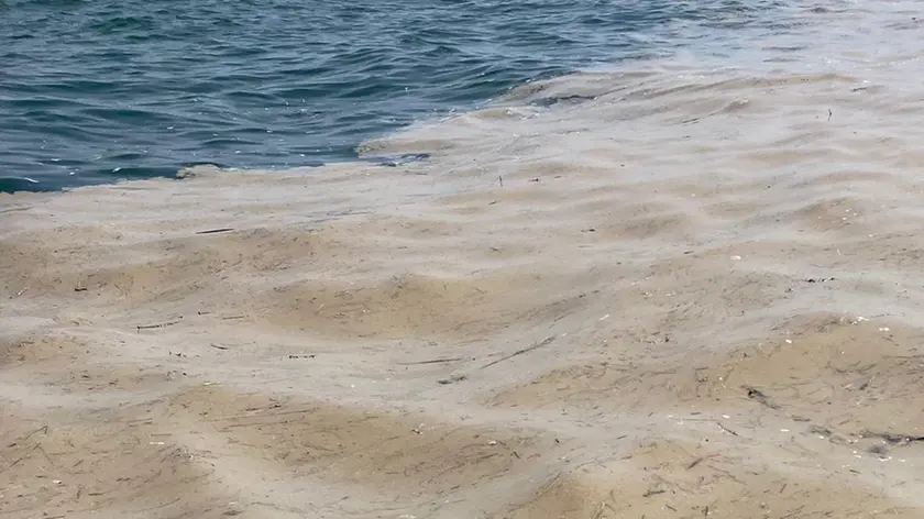 La mucillagine che si vedeva ieri un miglio al largo dalla costa di Jesolo e Cavallino.