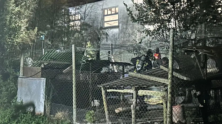 Incendio nel pollaio