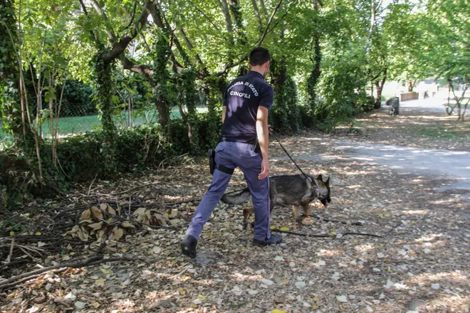 Perlustrazione di controllo dell'unità cinofila della polizia al parco di Villa Querini a Mestre