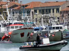 I pescatori dei compartimenti di Chioggia e Caorle protestano contro le nuove norme UE sulla pesca a strascico: questa mattina oltre duecento motopescherecci, con a bordo circa tremila pescatori, hanno inscenato un carosello sul Canale della Giudecca, prima di attraccarsi davanti alla Capitaneria di Porto veneziana: poi una delegazione guidata dai sindaci dei comuni lagunari e' stata ricevuta dal governo regionale, per presentare una mozione di protesta al parlamento europeo. ANDREA MEROLA