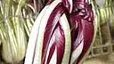 Il radicchio da oggi «re» di Martellago