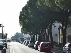 LAMANTEA - DINO TOMMASELLA - JESOLO - LE STRISCIE PEDONALI IN VIA LEVANTINA