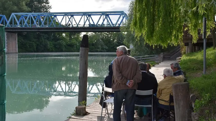 COLUCCI - DINO TOMMASELLA - SAN DONA' DI P. - IL FIUME PIAVE E IL PONTE DELLA VITTORIA