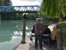 COLUCCI - DINO TOMMASELLA - SAN DONA' DI P. - IL FIUME PIAVE E IL PONTE DELLA VITTORIA