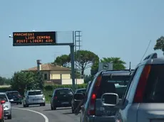 DE POLO - DINO TOMMASELLA - JESOLO LIDO - TRAFFICO IN ENTRATA E PARCHEGGI ANCHE SUI PRATI