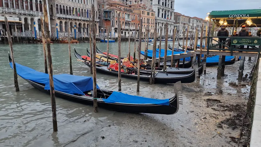 La bassa marea che nei giorni scorsi ha prosciugato le rive del Canal Grande