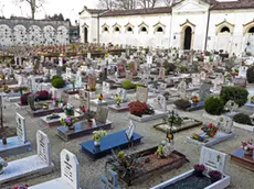 DeMarchi Castelfranco furto di fiori in cimitero