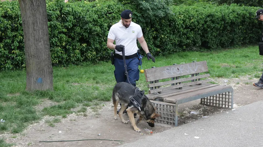 Foto Agenzia Candussi/ Chiarin/ Mestre, parco della Bissuola / Controlli della Polizia anti droga