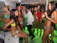 COLTRO - MISS UNIVERSO