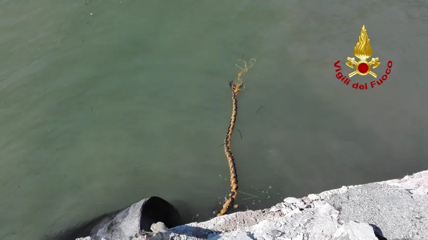 Foto Ufficio Stampa Vigili del Fuoco/LaPresse02-06-2019 - Venezia - ItaliaCronacaVenezia, Nave da crociera contro battelloMolo San Basilio: una nave da crociera scarroccia andando ad urtare la banchina e colpendo un’imbarcazione turistica. Sul posto motobarche e sommozzatori dei Vigili del fuocoDISTRIBUTION FREE OF CHARGE - NOT FOR SALE