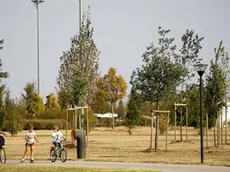 FURLAN MESTRE: ALBERI PARCO SAN GIULIANO