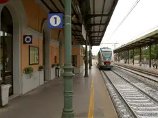 COLUCCI FGAVAGNIN SAN DONA DI PIAVE STAZIONE FERROVIA MARCIAPIEDI SCONNESSI