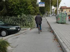 F.GAVAGNIN PORTOGRUARO VIALE TRIESTE PISTA CICLABILE OMOLOGATA