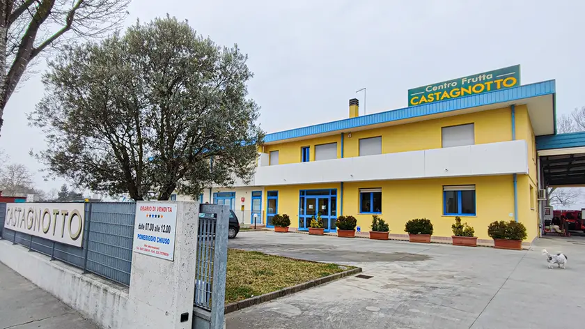 L'ingrosso Castagnotto Frutta a Jesolo chiude dopo 77 anni