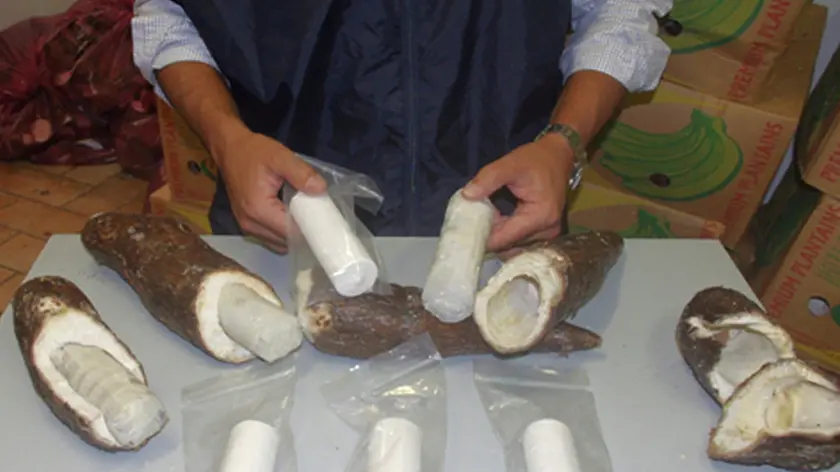 Un carabiniere mostra la cocaina, nascosta dentro tuberi di manioca, ritrovata in un furgone soccorso ieri notte 4 agosto dai cc di Roma perche' stava prendendo fuoco a seguito di un guasto meccanico. Arrestato in flagranza di reato un 31/enne di origine calabrese, incensurato, trovato in possesso di un carico di 50 kg di cocaina purissima a bordo del mezzo. ANSA/ UFFICIO STAMPA CARABINIERI DI ROMA