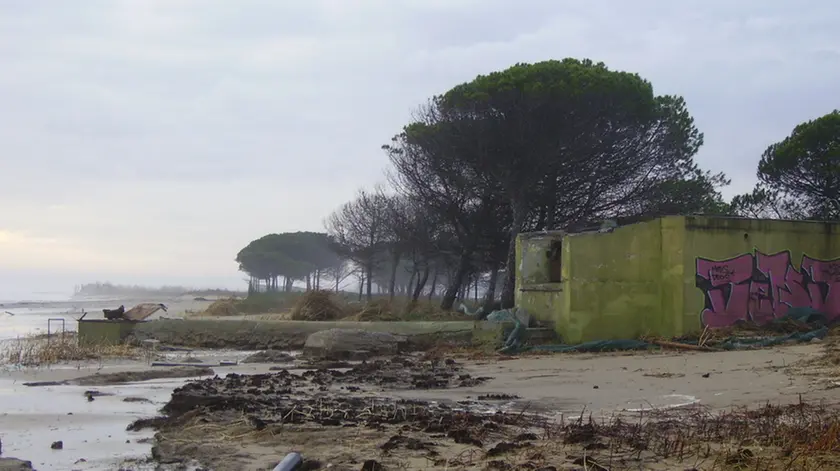 foto per corrado morsego
