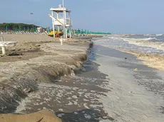 La mareggiata a Jesolo Pineta si è mangiata gran parte della sabbia messa con il ripascimento (foto Vianello)